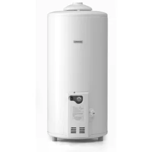 Termotanque de Pie 75 LTS Longvie a gas - T3075PF